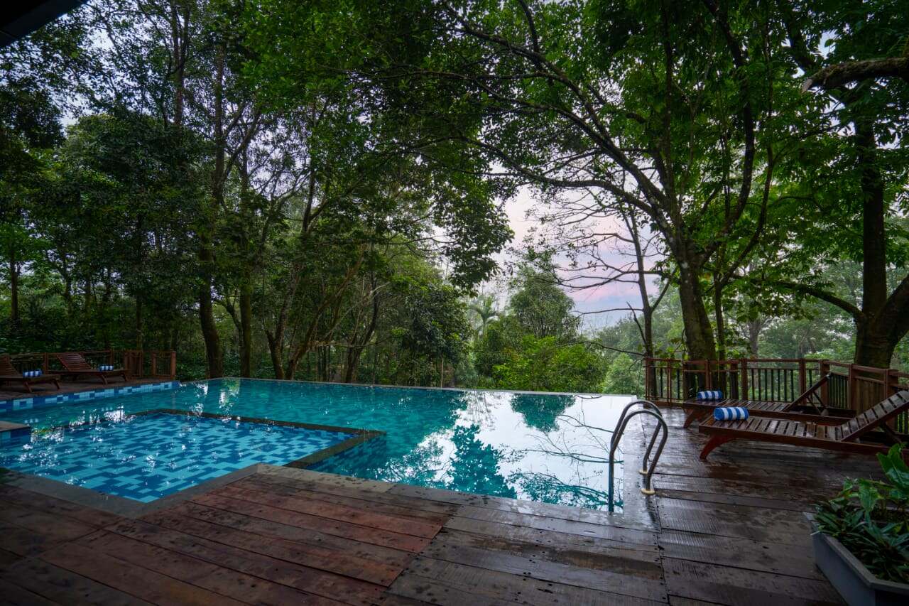 Wayanad mist getaway swimming pool view