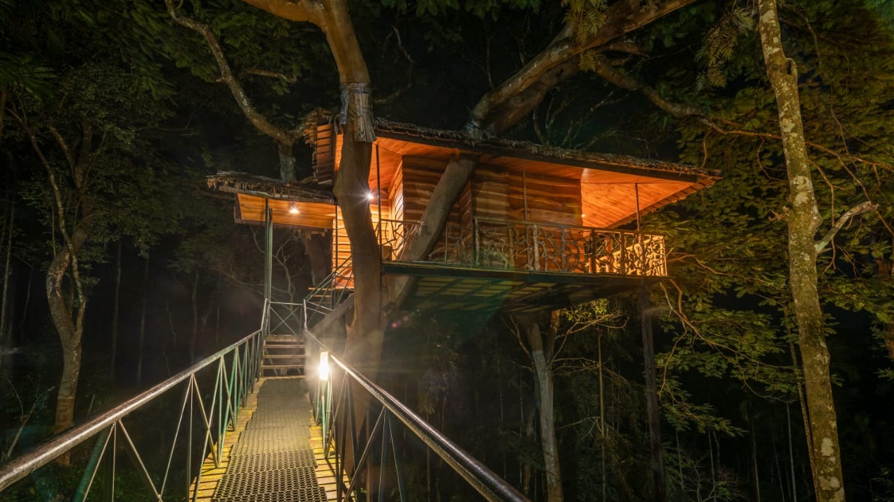 Treehouse in Kerala: A Plantation Hideaway treehouse view