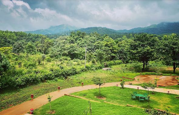 view of nature trails from the property