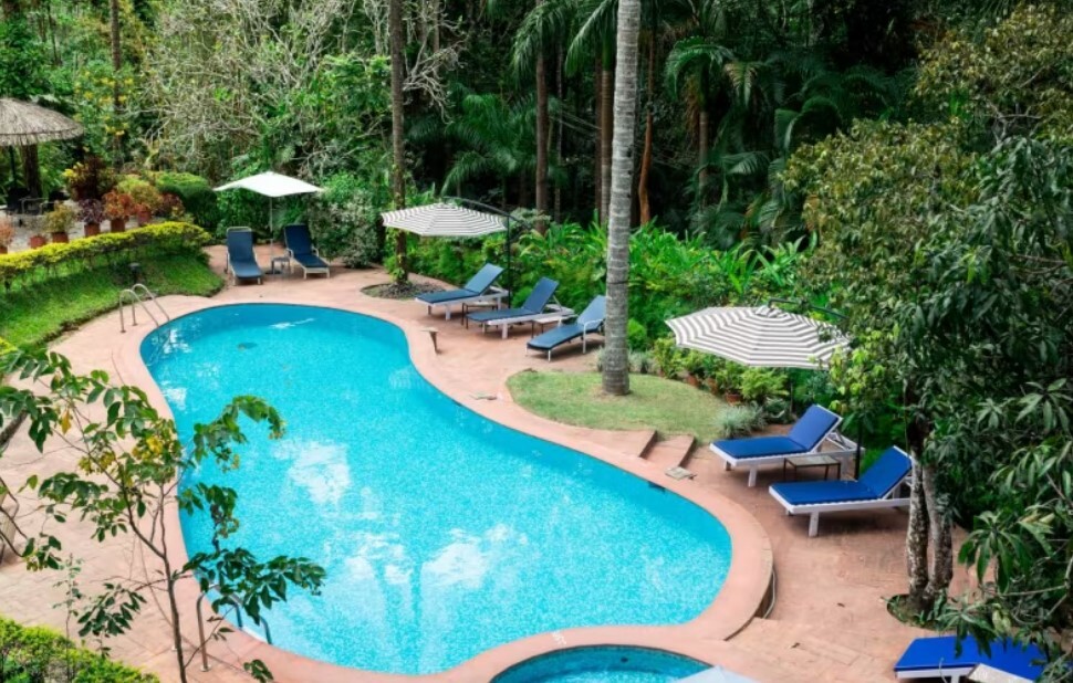 mountain view resort in wayanad- a plantation hideaway swimming pool view