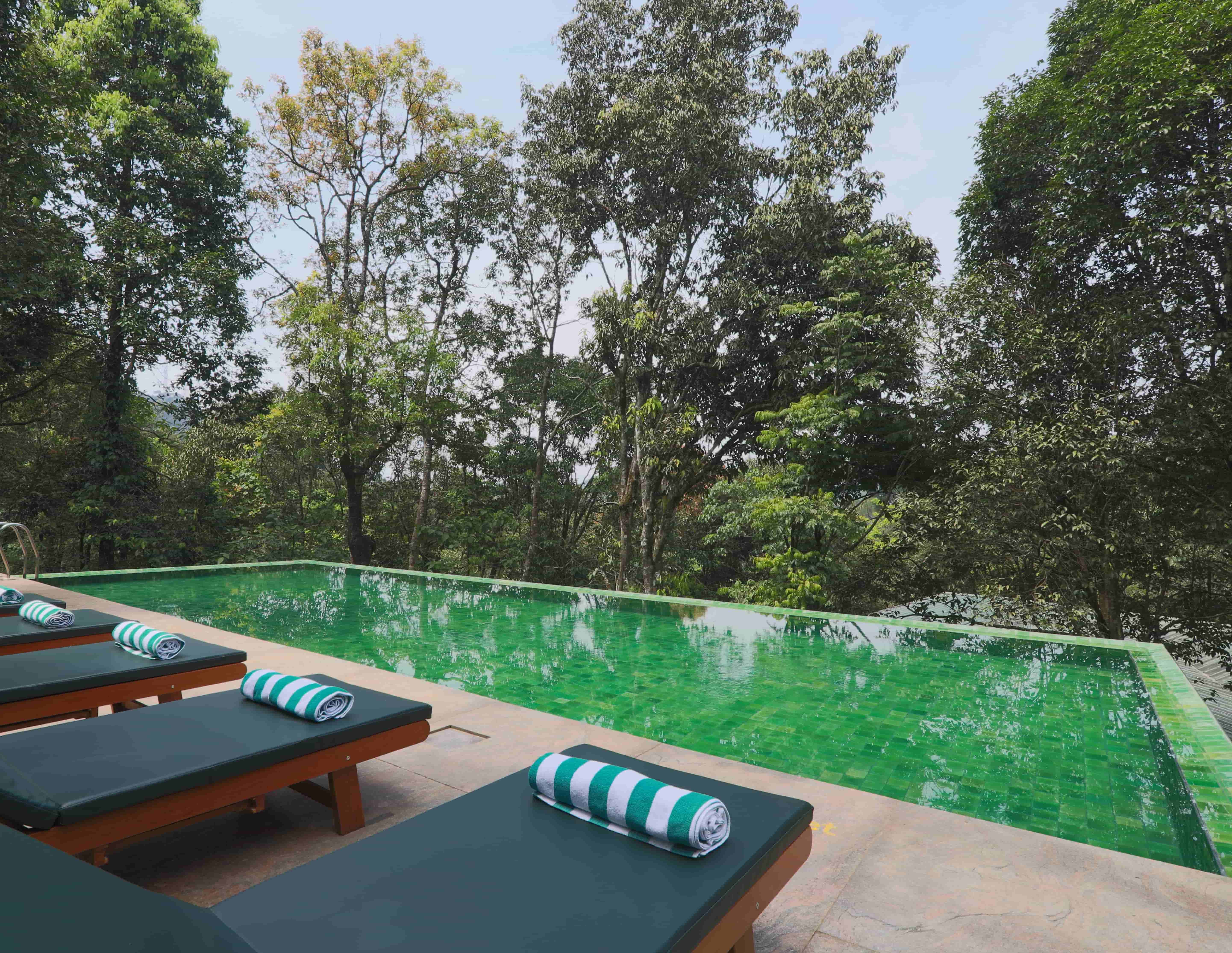 rainforest stay: best jungle resorts in india swimming pool view