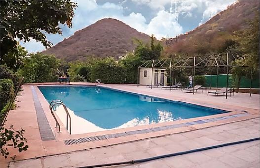 sariska camp pool view