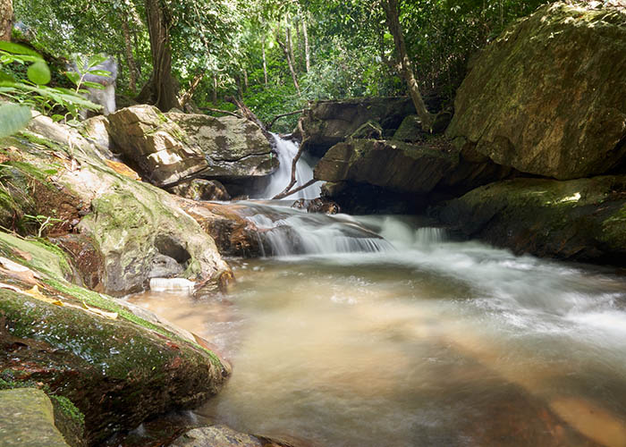 tent stay in coorg