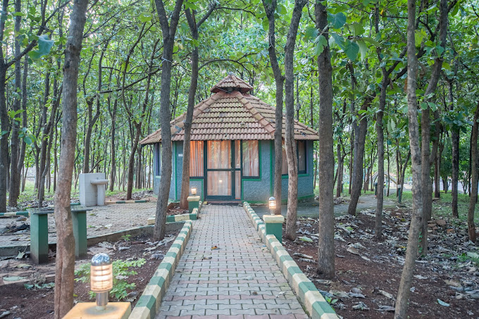 Scenic Wildlife Nature Resort bedroom view outside view