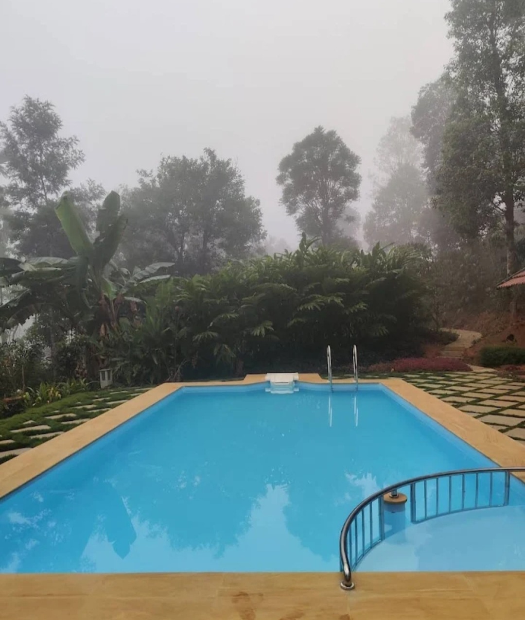 2-day trip to wayanad from bangalore- swimming pool