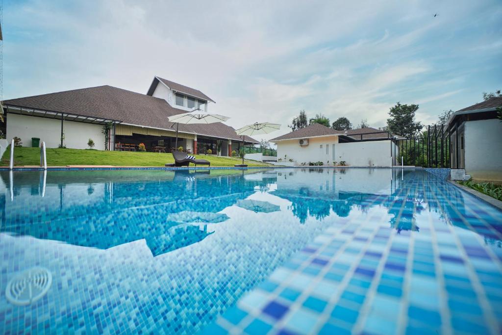 Treetop Escape Resorts And Spa: pool view