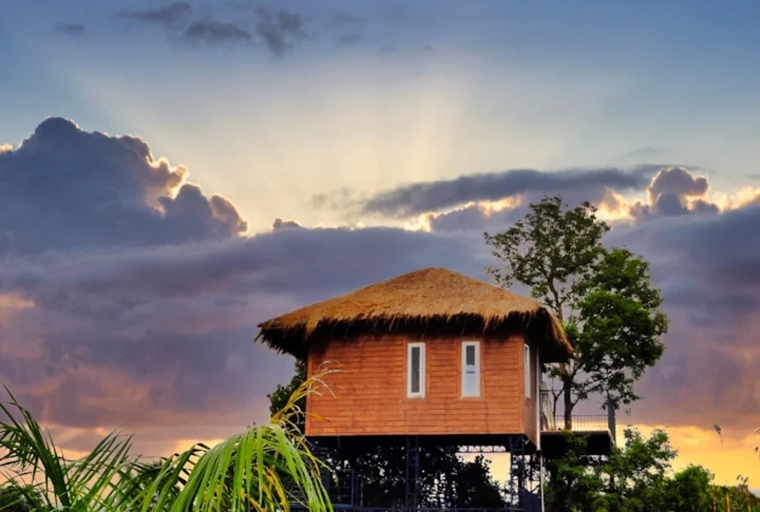 treetop escape resort & spa treehouse area view