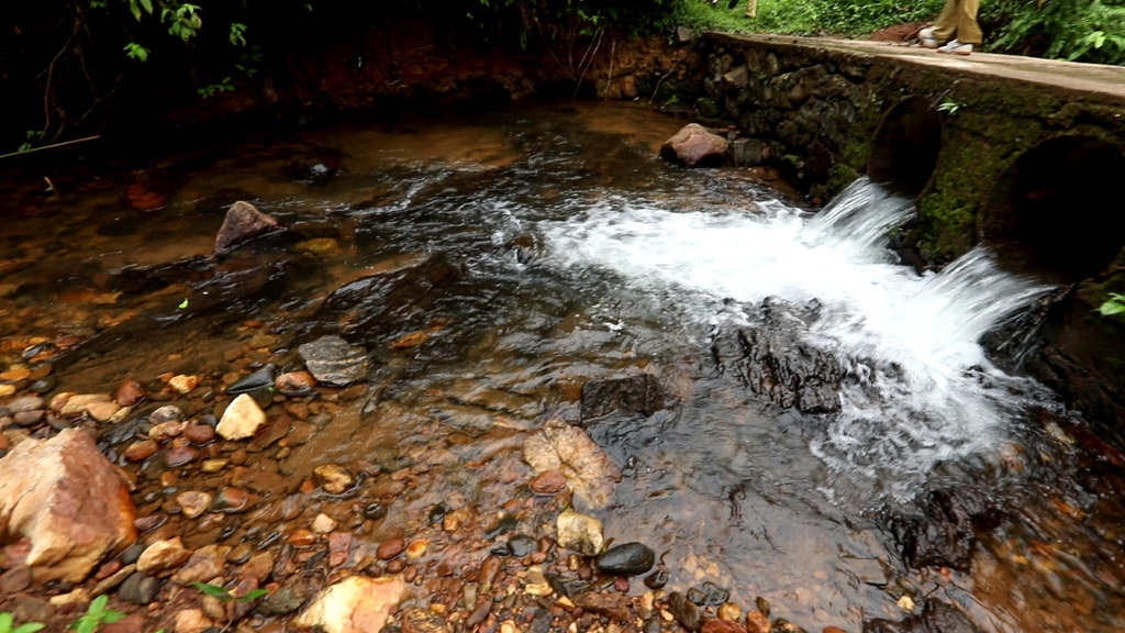 waterfall near rainforest stay in the wilderness