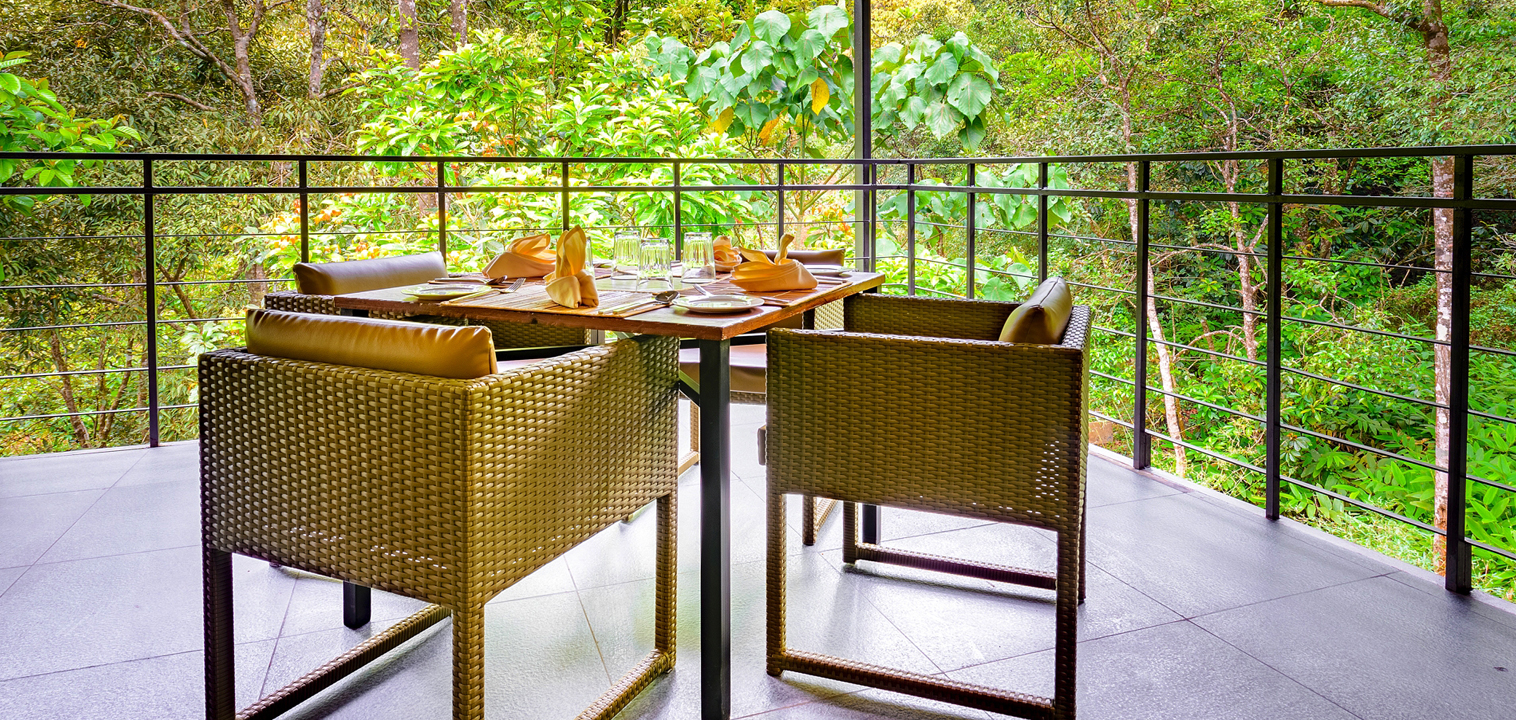 rainforest stay private dining experience