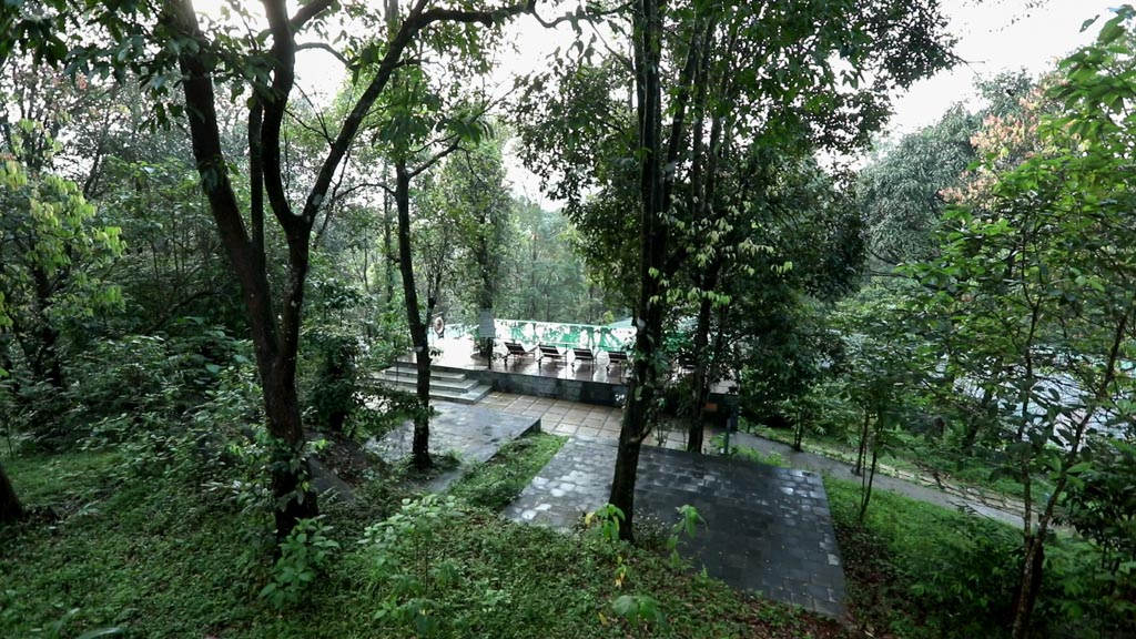 wildlife resort in wayanad-rainforest stay swimming pool in the property area view