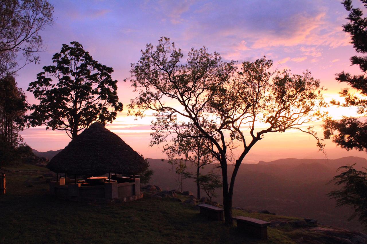 thatched gazebo on the outskirts of the hills view