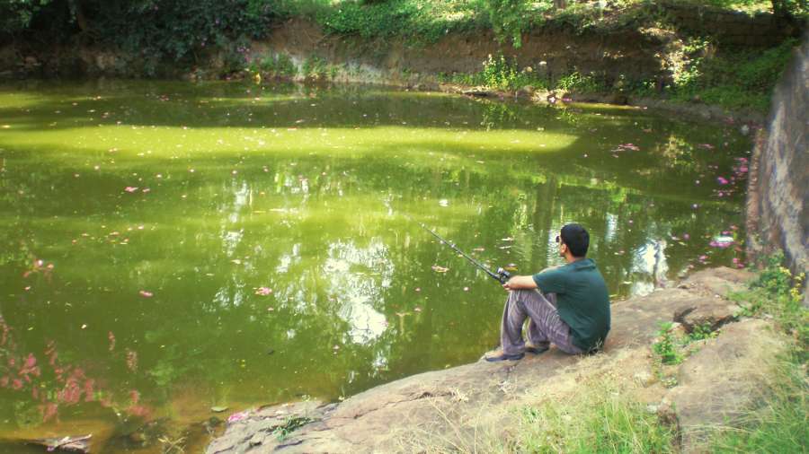 fishing in the lake view