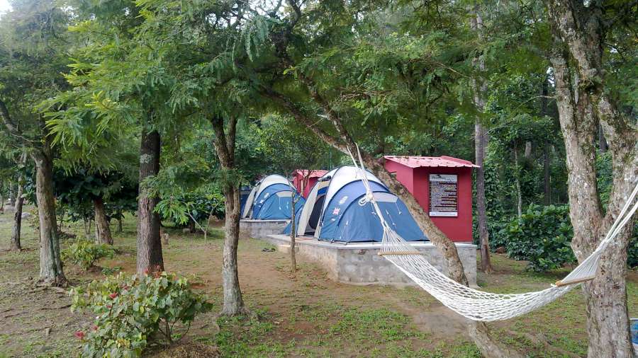 stay tent in yercaud: hidden campsite paradise tents for camping