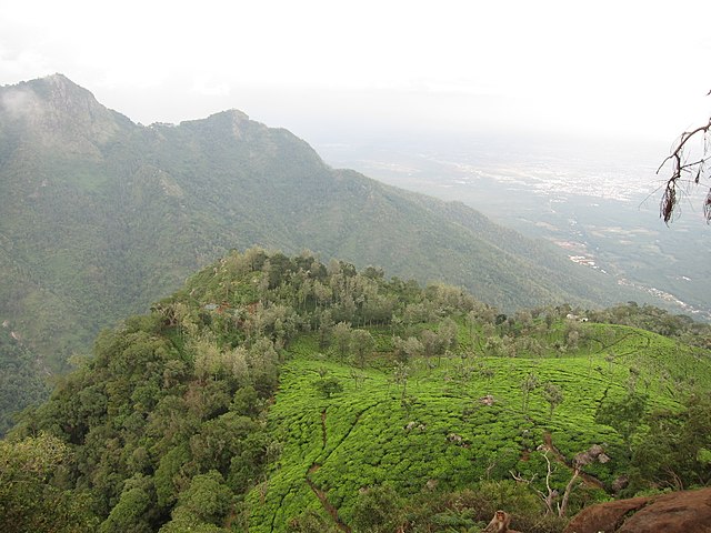 things to do in coonoor