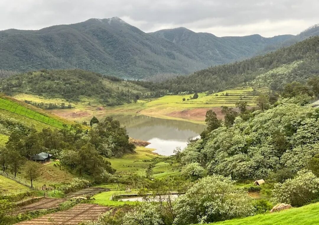 spa resort in ooty