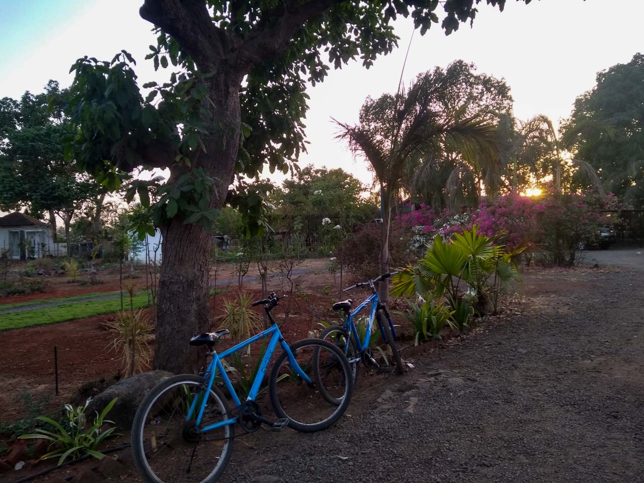 Bicycle rides at the Boutique Farm Stay in Karjat- a perfect place near Mumbai to connect with nature and indulge in the art of Yoga!