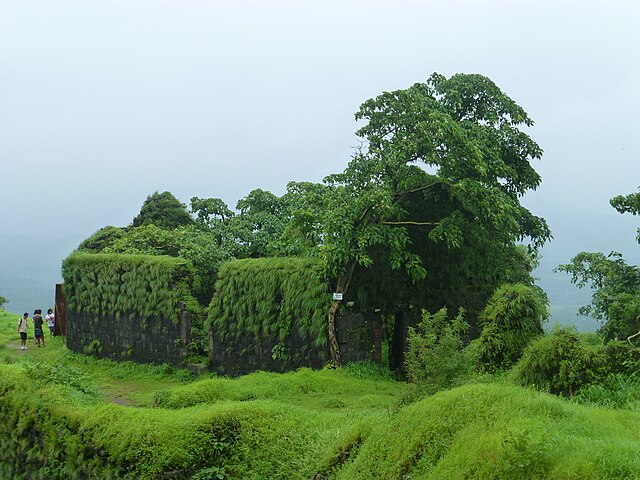 road trips from mumbai in monsoon