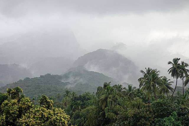 coorg in monsoon