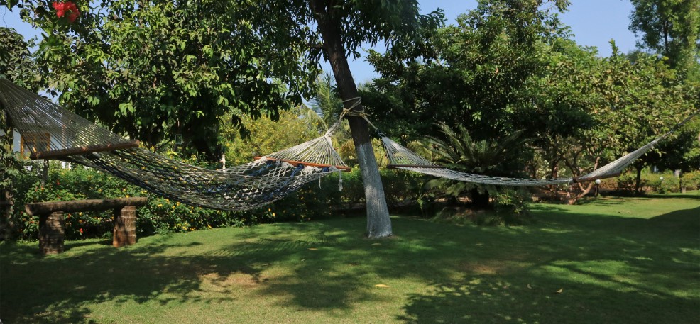 Outdoor Hammocks in The Cottage Homestay In Alibaug- a perfect place near Mumbai to connect with nature and indulge in the art of Yoga!