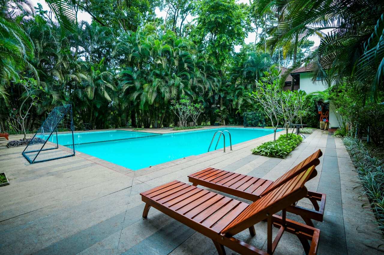 A green stay, forest stay in Thekkady-swimming pool