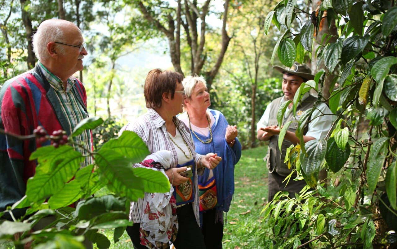 A green stay guided nature walks