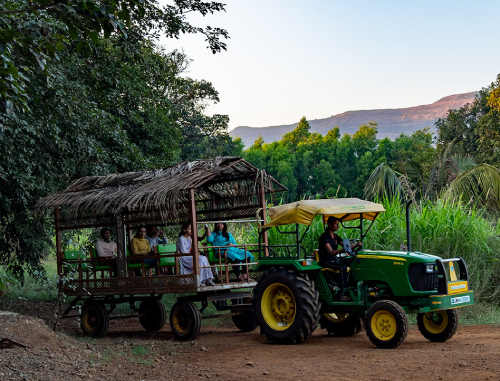 Village Stay Near Mumbai-dreamy Cottages On An Island tractor ride