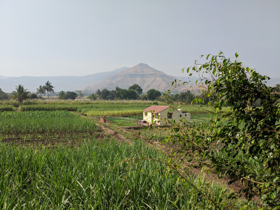 The Eco-farm Stay-nearby view