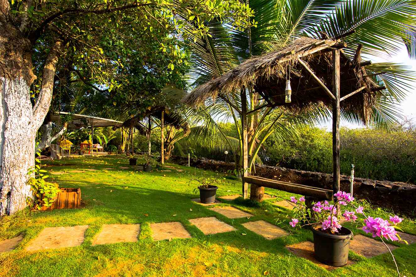 Beautiful lawn garden at the Cottage Homestay resort in Alibaug