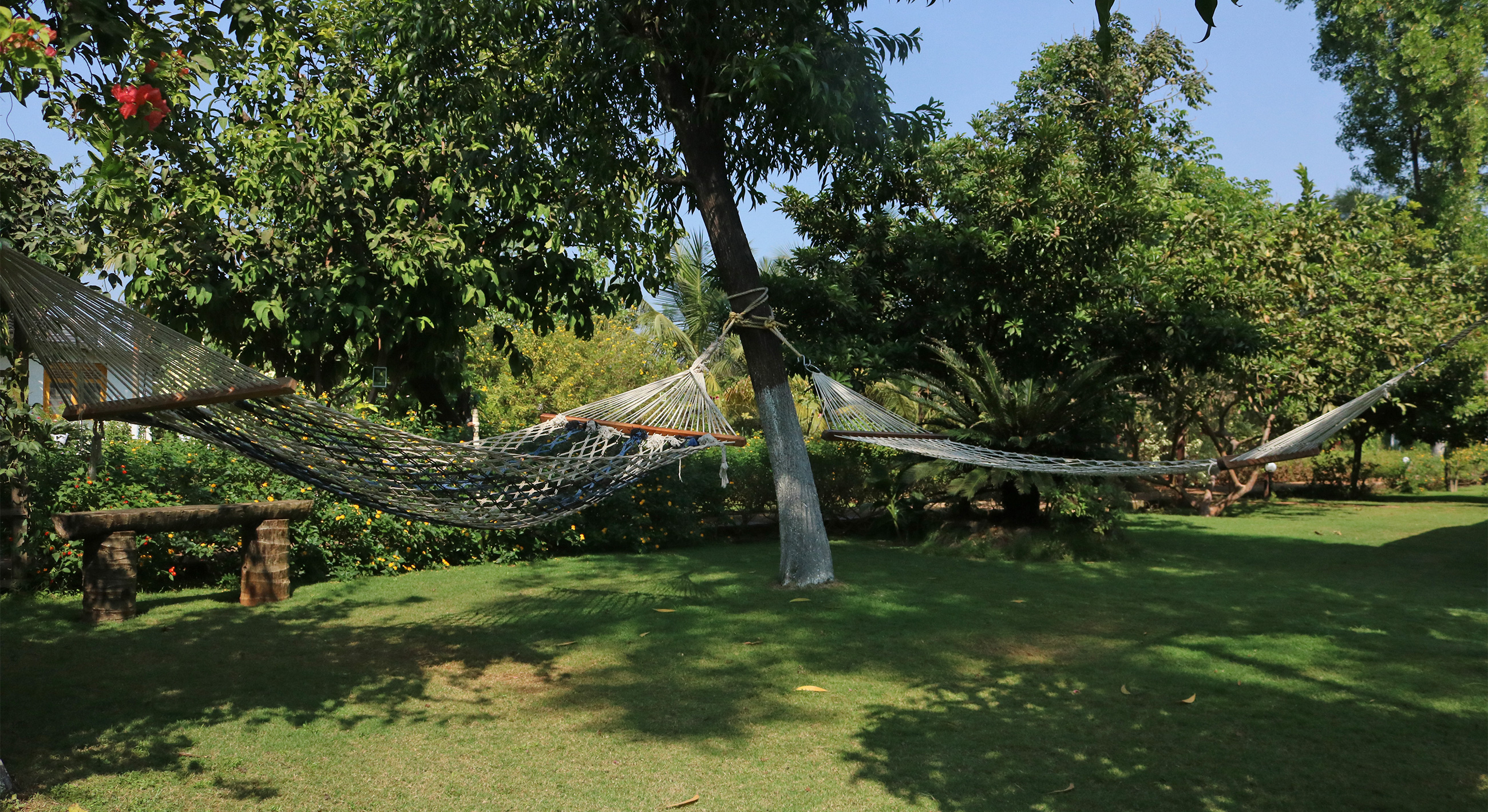 Relaxing Hammock at the Cottage Homestay in Alibaug. the perfect resort with bathtub amenities 