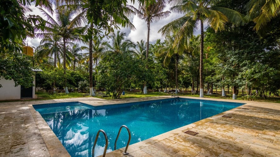 The Jungle Sanctuary pool view