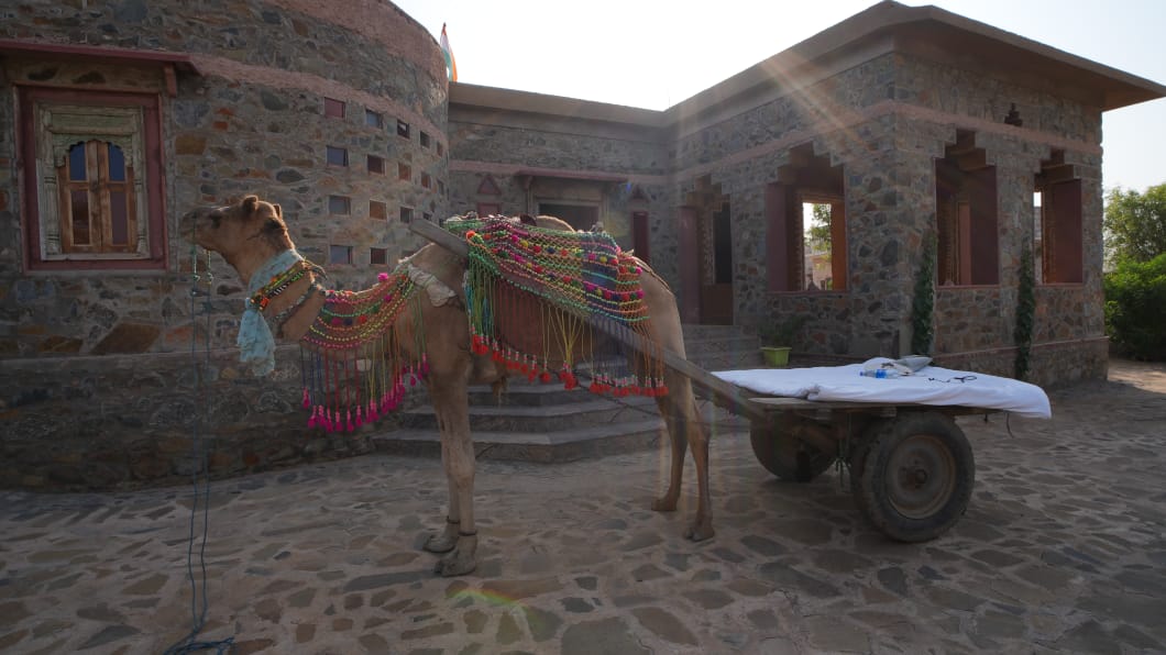 Village retreat in Sariska-camel ride