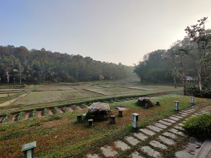 farm-stays-in-Wayanad