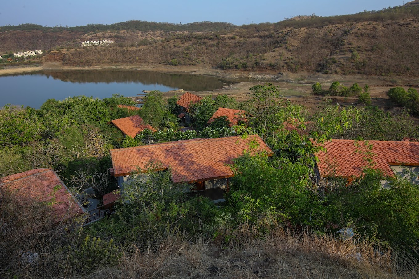 bird-eye-view