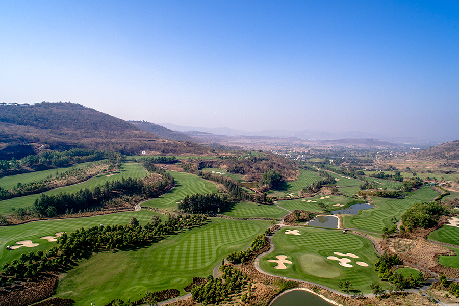 bird-eye-view