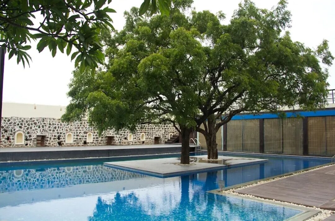 tree-in-the-middle-of-the-pool