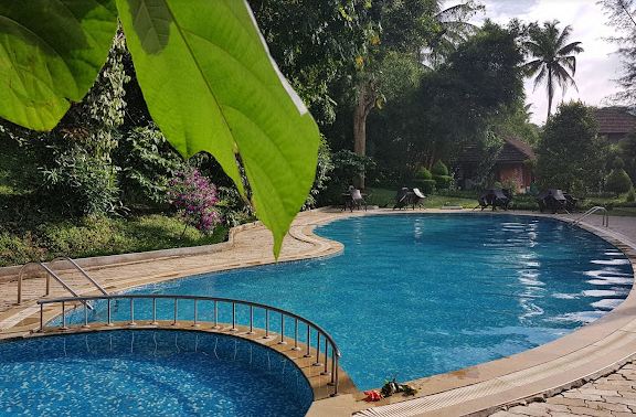 swimming pool at the Thekkady Wildlife Escape