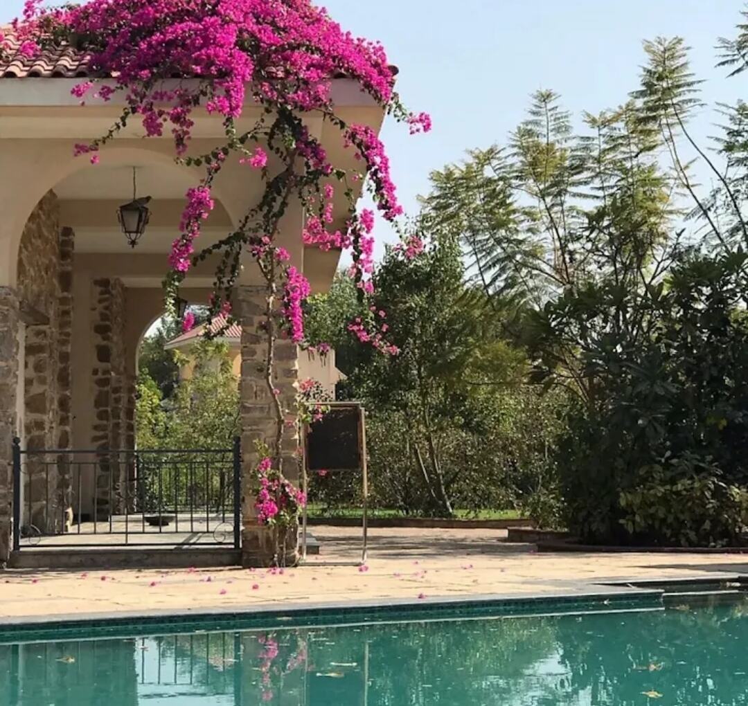 Best Resort in Ranthambore-The Wildlife Lodge