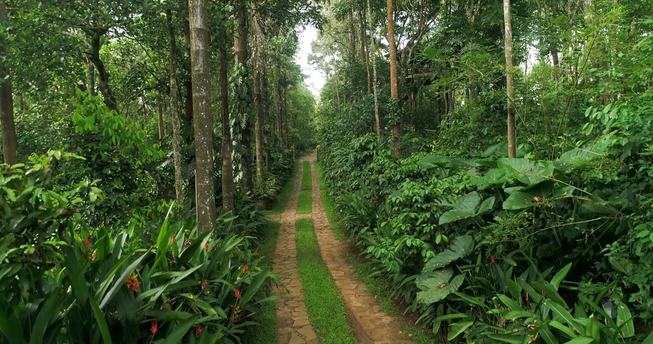 treehouse resorts near Bangalore