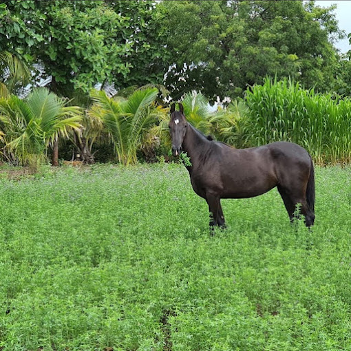 Unique-Stays-Within-300km-From-Pune