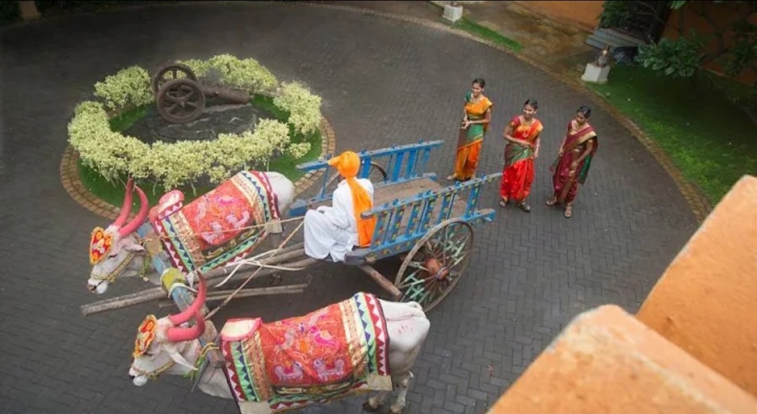 bullock-cart