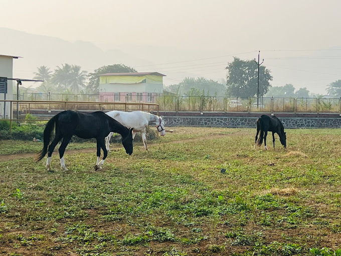 horse-riding-arena