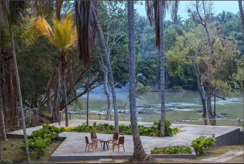 coconut-plantation