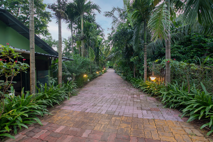 Best-Curated-Stays-In-Alibaug 