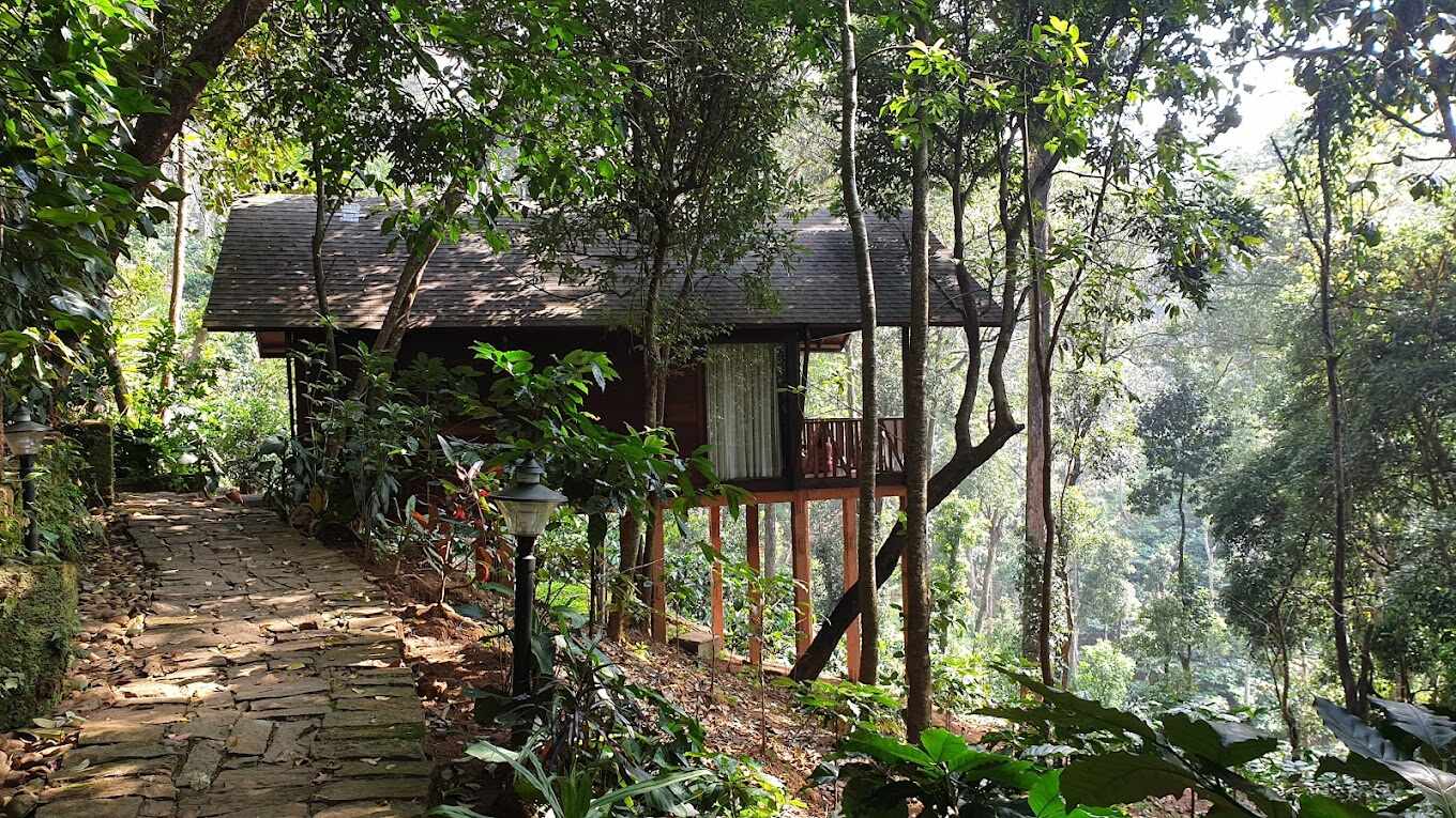 New Year Getaways in Coorg 2025